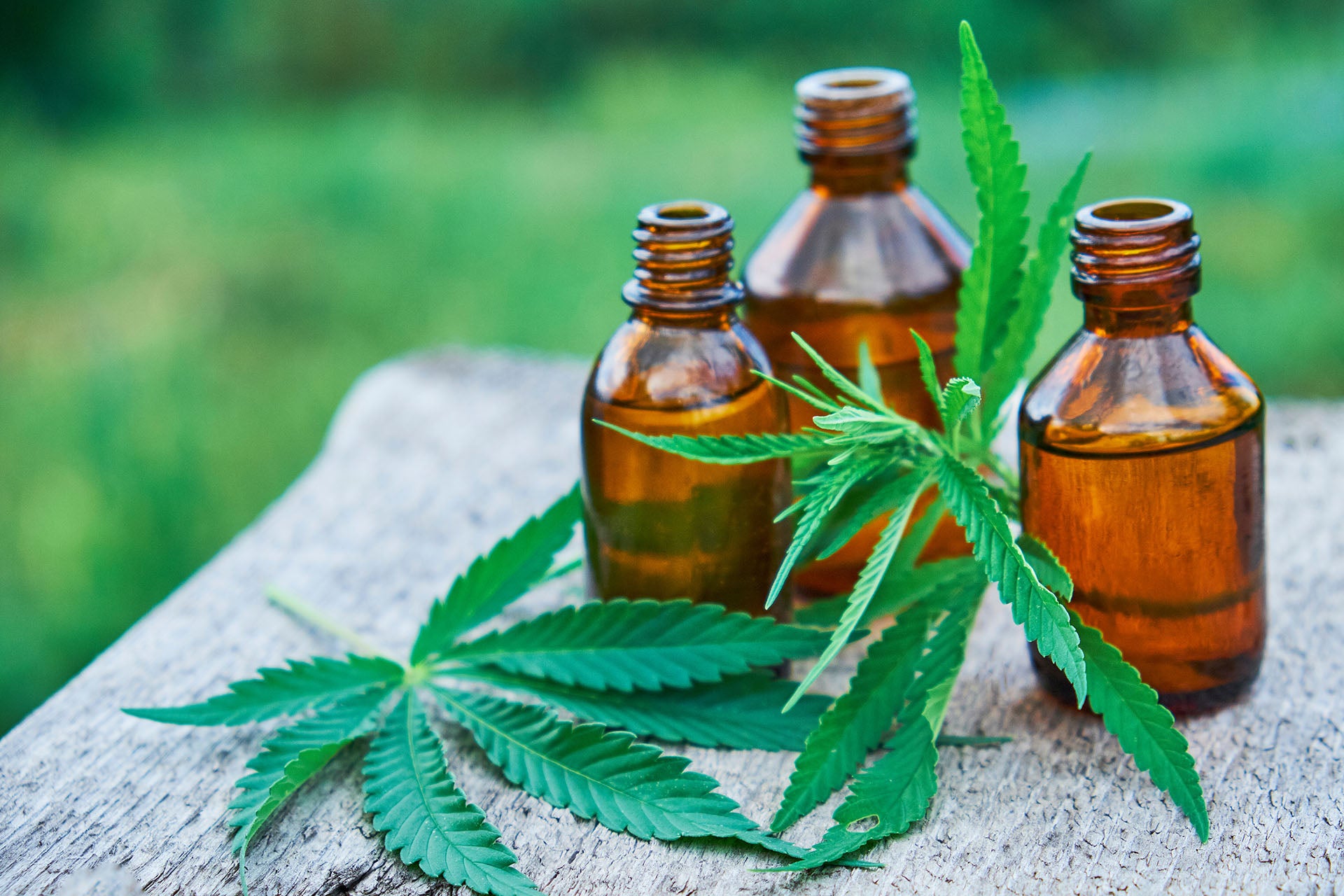 Beginners Guide to CBD