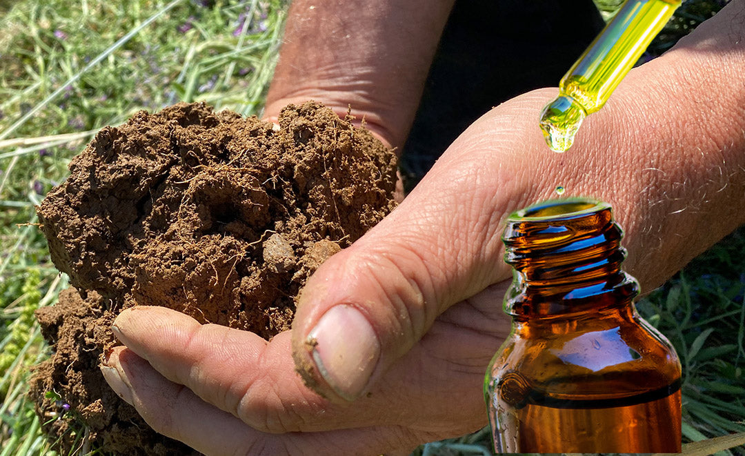 How Soil Health Impacts Your CBD Quality.